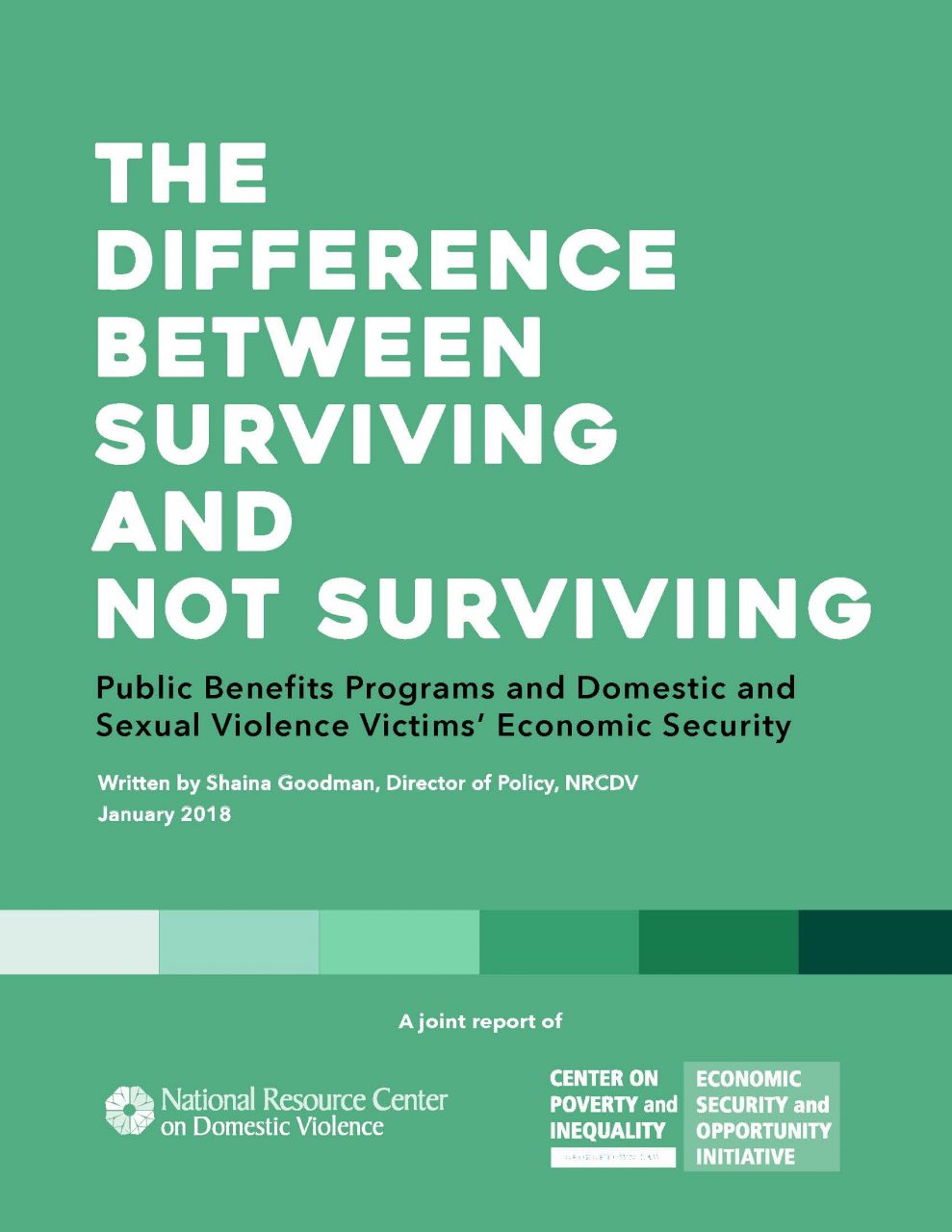Cover of GCPI's report with NRCDV
